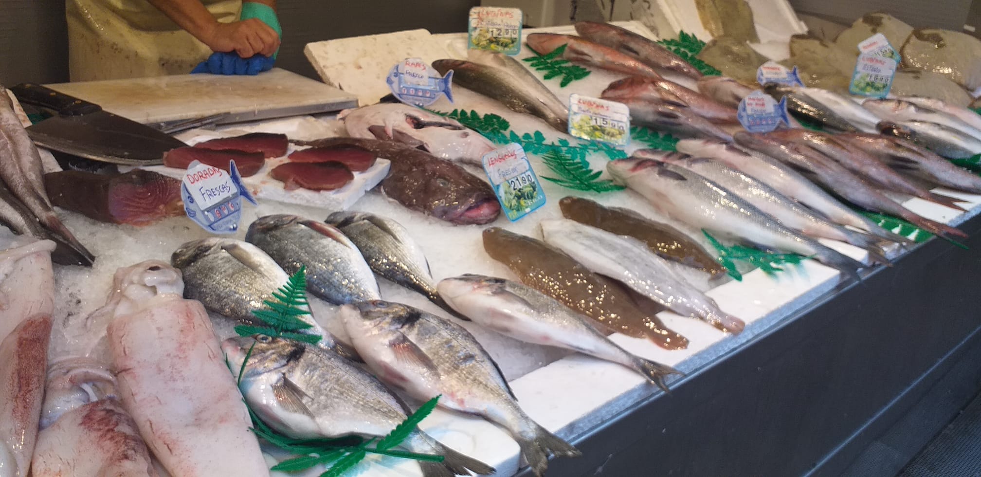 pesce appena pescato al mercato di Malaga