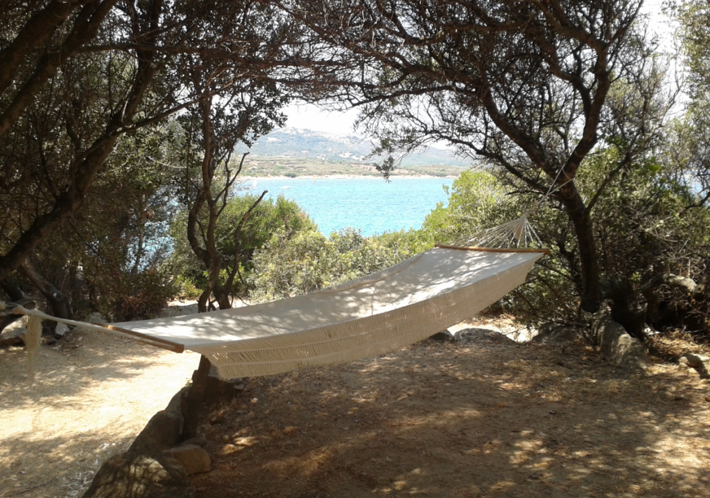 Amaca all'ombra degli alberi affacciata sul mare in estate